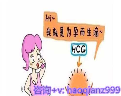 2026年国内公立医院供卵试管费用是多少?有费用明细吗?